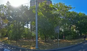 Фотография Дефа 3